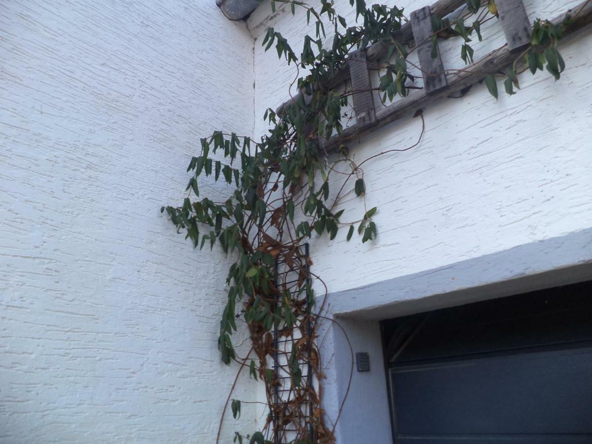 Ferienappartment Mit Schlafzimmer Farschweiler Exterior foto